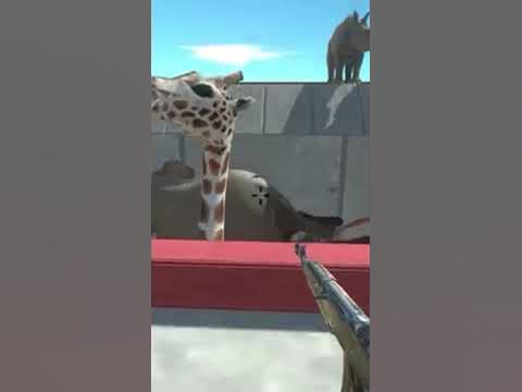 Crocodile Eating Giraffe - YouTube