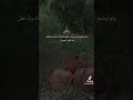 26 أكتوبر 2025