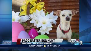 Salvation Army to host Easter breakfast