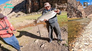 ESPECTACULAR pesca de TRUCHA GIGANTE en riachuelo. || giant trout in river