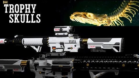 NEW!!! TROPHY SKULLS BUNDLE M4 "WHITE NOISE" (MODERN WARFARE)