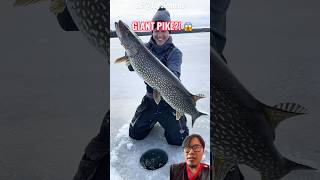 This Ice Fishing Catch Is INSANE! 😱🎣#fishing