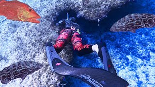 Remote Spearfishing & Camping! Fish Were EVERYWHERE! Part 2