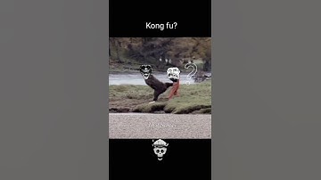 Man vs Bear (PVP)🐻😂