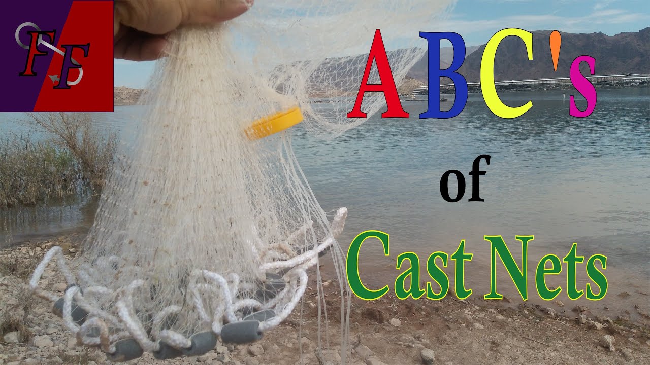 How to use a cast net in Lake Mead Easy, step by step 