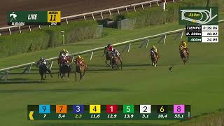 Vidéo de la course PMU PRIX ALIFE