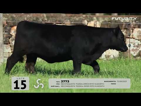 LOTE 15   TAT 3773 F Angus