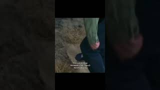 hes mad now | #percyjacksonandtheolympians #percyjackson #walkerscobell #percabeth #pjo screenshot 5