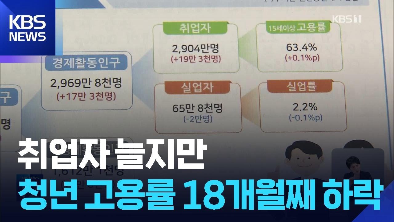 취업자 늘지만 청년은 찬바람…청년 고용률 18개월째 하락 / KBS  2025.11.12.