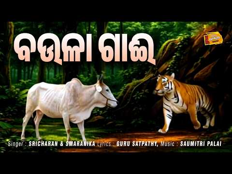 ବଉଳା ଗାଈ | Baula Gai | Gamha Purnima Special | Lasyakala Dance Vision | Radio Choklate