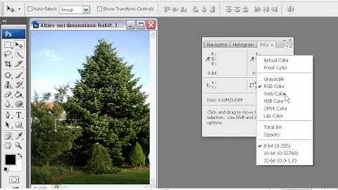 How to get the hex code of a color for your website in PhotoShop - PhotoShop Tutorials