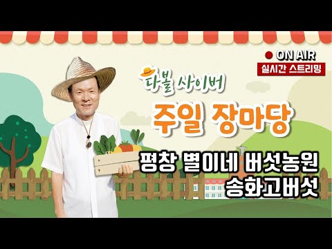 영상썸네일