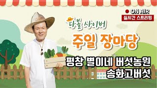유튜브 썸네일