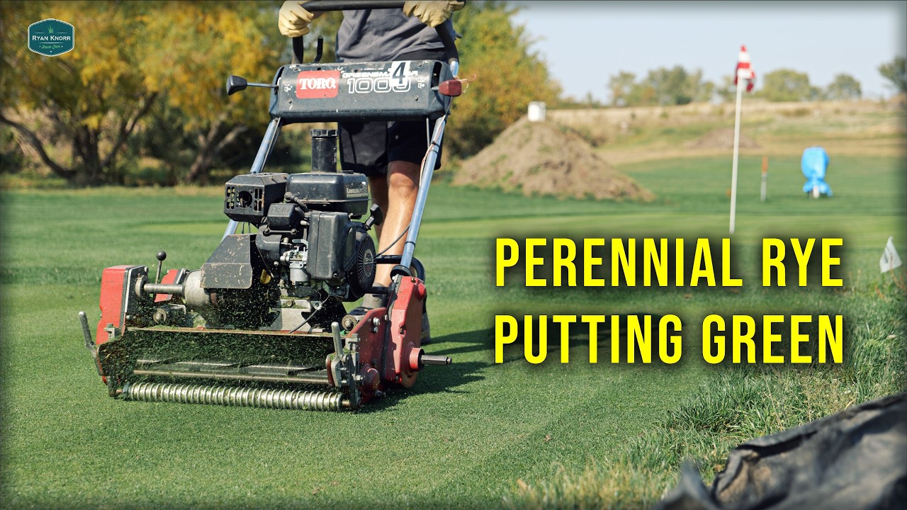 Bermuda Grass Cut Height In Fall