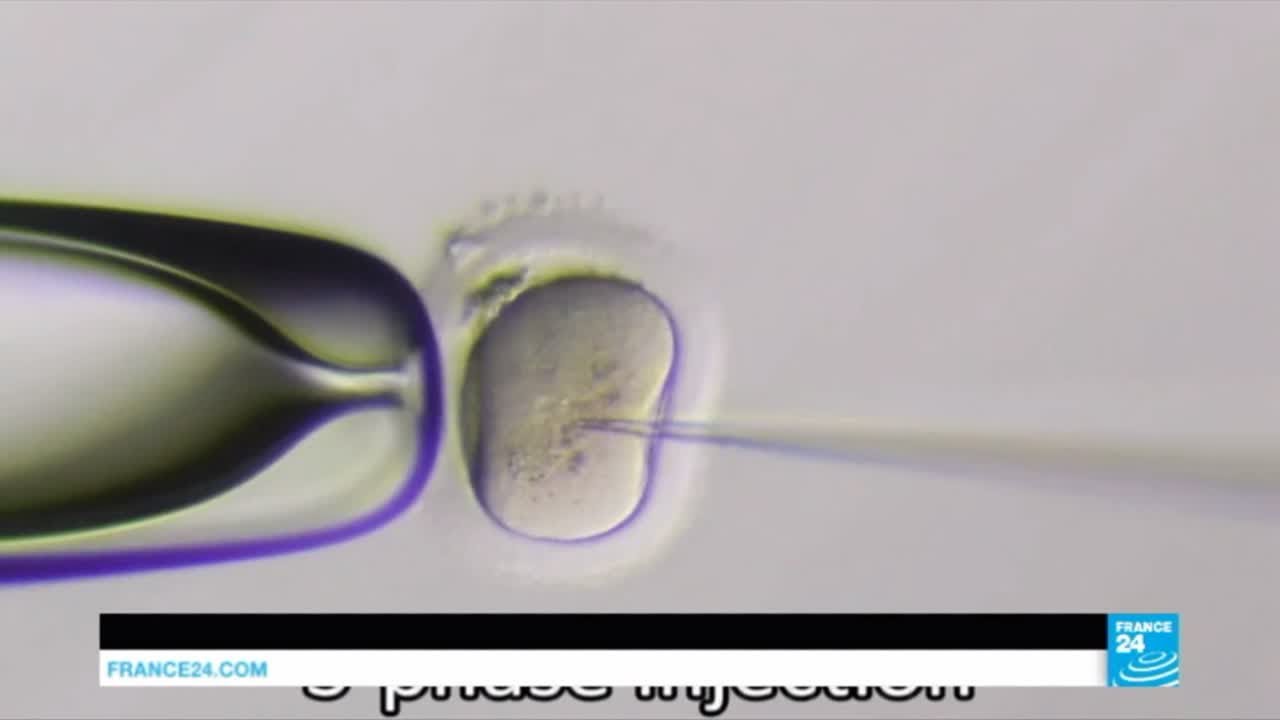 Embyro Editing Breakthrough: First step towards designer babies? Embyro Editing Breakthrough: First step towards designer babies?