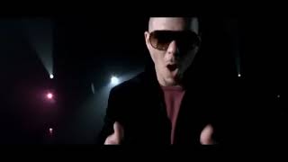 PITBULL mr 305