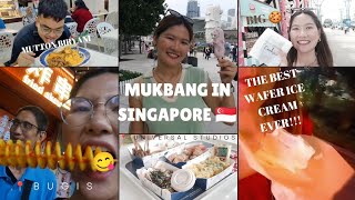 FOODTRIP IN SINGAPORE! (BUGIS, VIVO CITY, CHINATOWN & UNIVERSAL STUDIOS) l CELINA