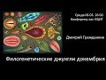 Дмитрий Гражданкин "Филогенетические джунгли докембрия"