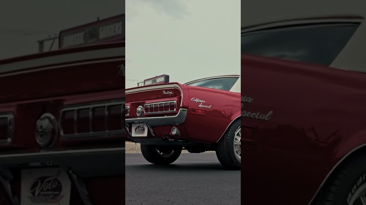 SHELBY GT/CS  1968    zens classic cars