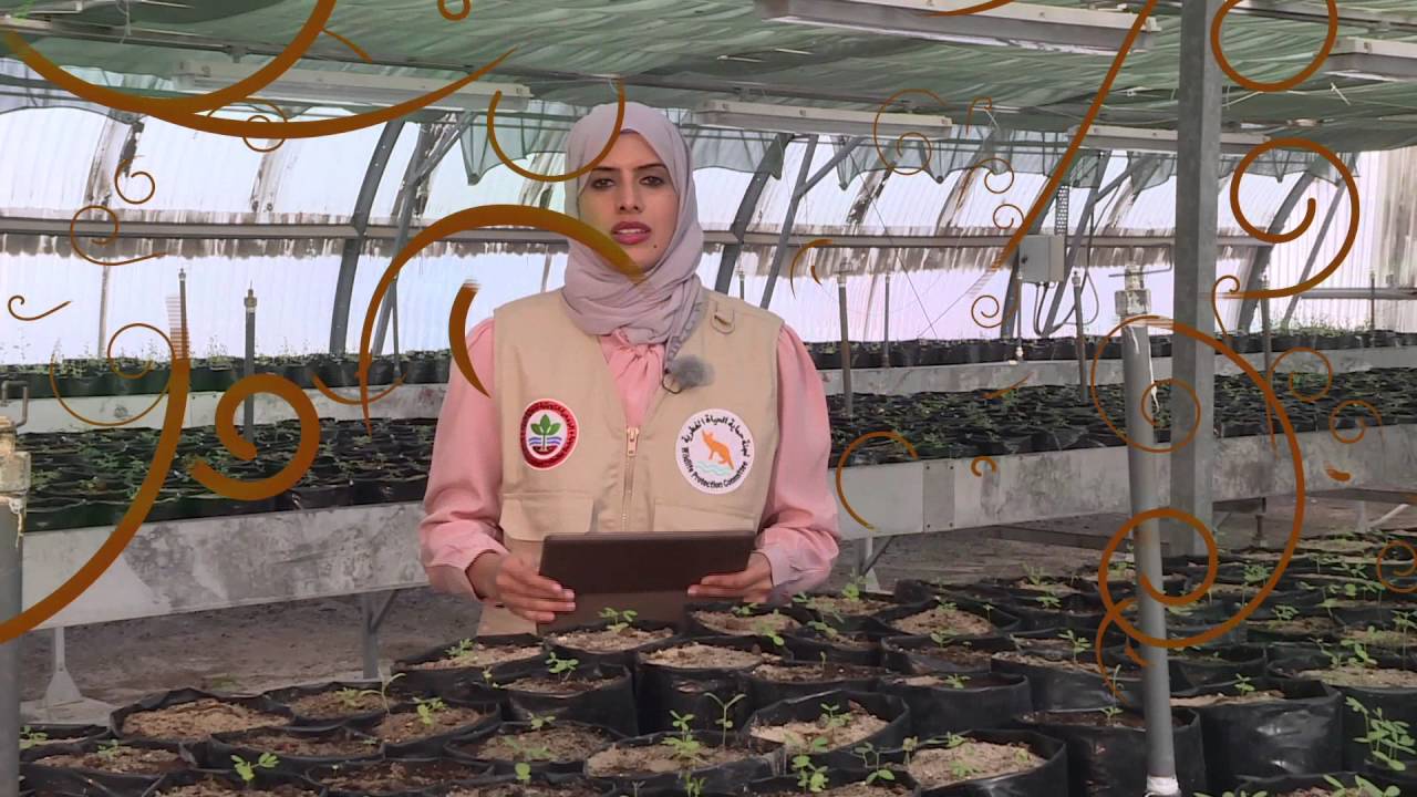 برنامج كل يوم نبتة- نبات الحامول الحلقة الثامنة عشر