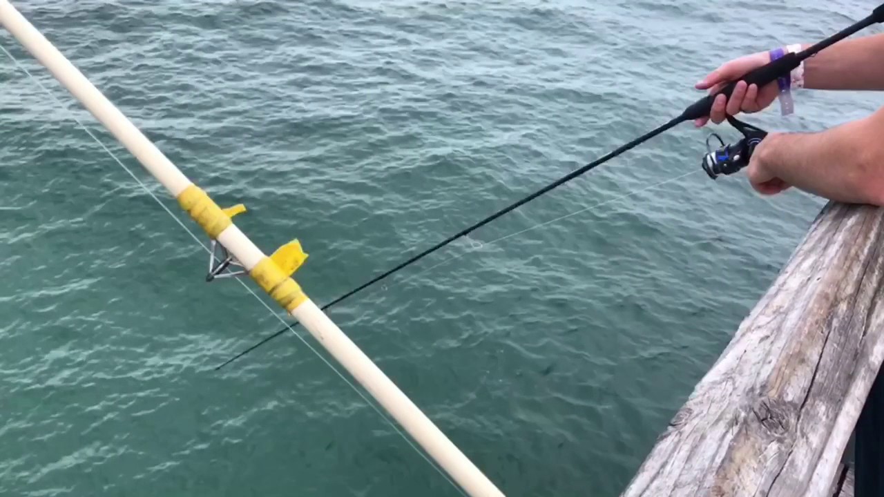 Pier Fishing , Florida YouTube