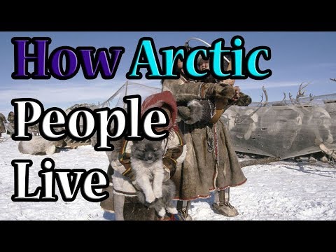 Video: How People Live In The Arctic