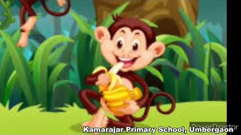 STD I Maths Spatial Understanding