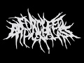 Force Fed Broken Glass - Defiling the Carcass of a Gutted Harlot (FULL ALBUM)