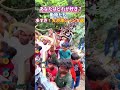 超衝撃！多すぎるやろ…動物たちの大量発生シーン5選 #動物 #2ch動物スレ #shorts