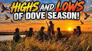 2026 Dove Client Season!