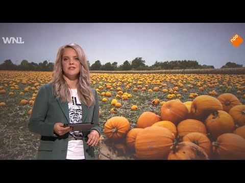 Museum Klok & Peel - Pompoengekte in Asten