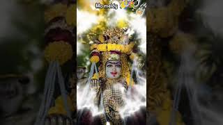 ma meldy 🚩 status