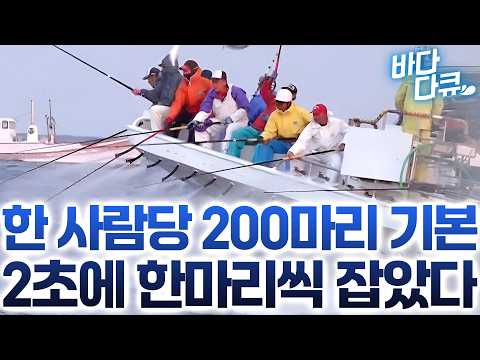 No time to unhook. A 400-year-old tradition of pole-and-line fishing that flips a fish onto the d...