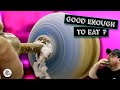 Woodturning  the donut illusion