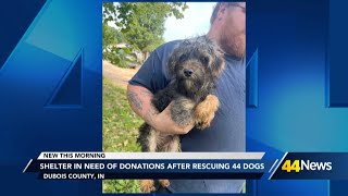 Dubois County Humane Society asking for donations after rescuing 44 dogs