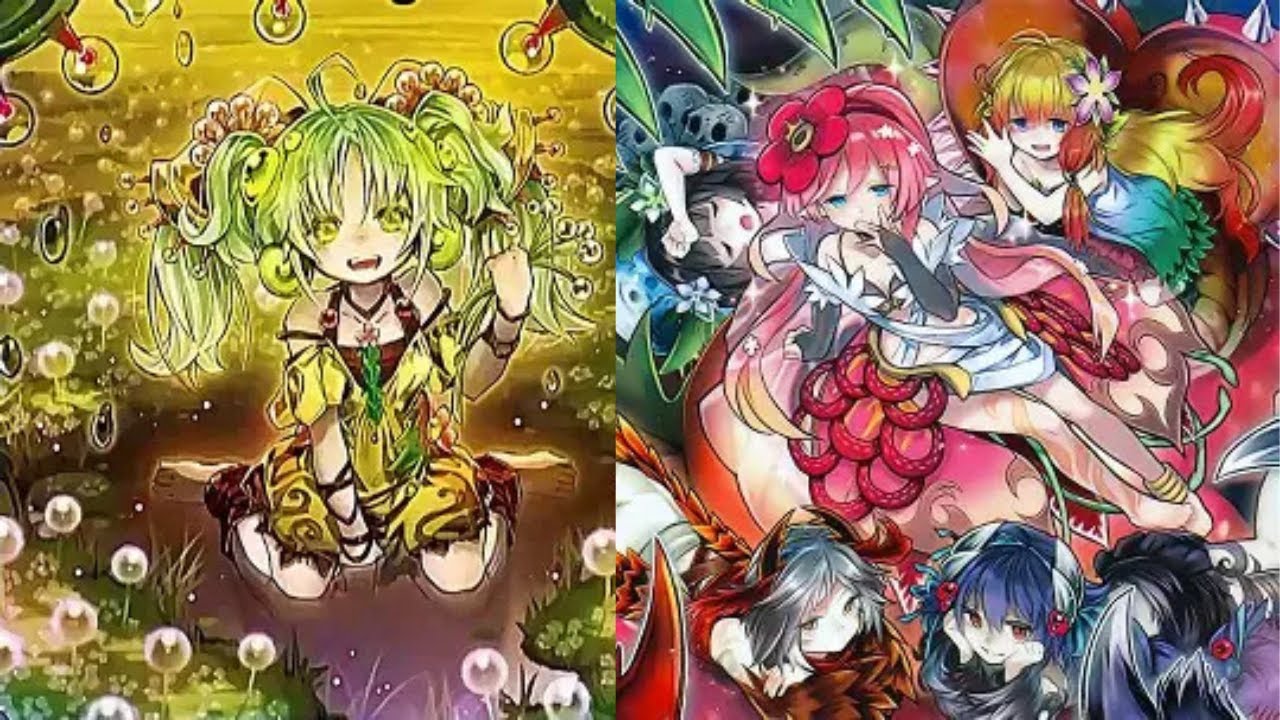 ПРОФИЛЬ МОЙ КОЛОДЫ TRAPTRIX ЗА октябрь 2025 ГОДА