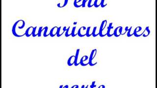 Canario discontinuo 2009