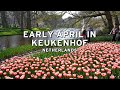 🇳🇱 Early April in Keukenhof - Netherlands  (4K)