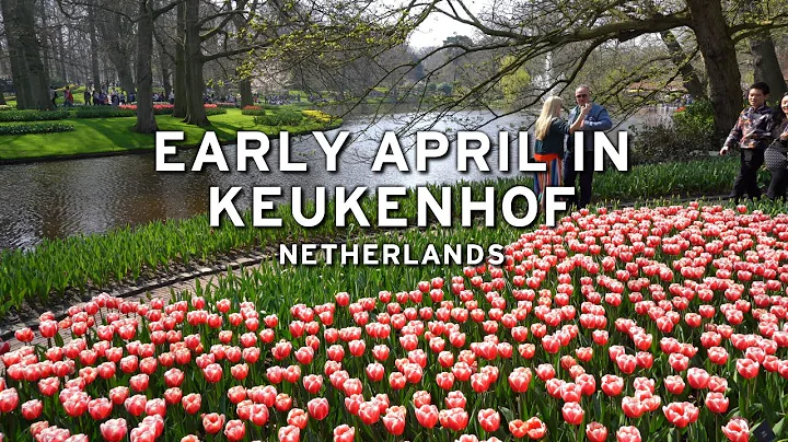 Early April in Keukenhof - Netherlands  (4K)