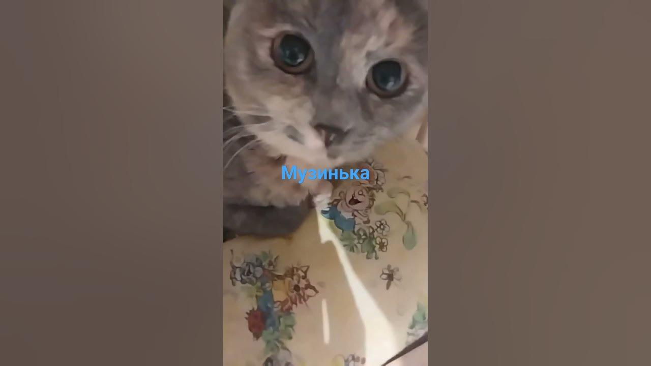 мурздей - YouTube