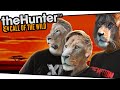 Lion Kings (theHunter: Call of the Wild)