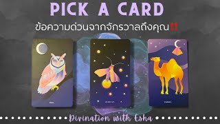 (ฮีลใจและเจาะจงมาก)‼️ข้อความด่วนจากจักรวาลถึงคุณตอนนี้‼️- Pick a card✨🥰🎁