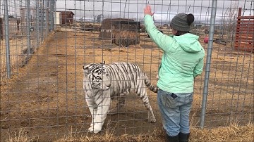 Operant Conditioning