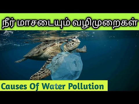 நீர் மாசடையும் வழிமுறைகள் |Causes Of Water Pollution | Tamil Geography News