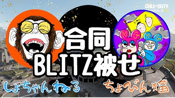 【CODモバイル】しょちゃん＆ちょびん猫　合同被せinBLITZ‼️休日のオヤジ💕バトロワ配信✨1126