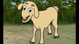 Lamb Stardotstar Multimedia - Animated Videos Absolutely Free Of Cost.