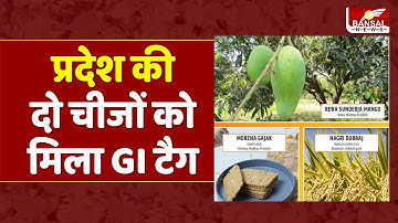 प्रदेश की किस चीज को मिला GI टैग ? सीएम शिवराज ने दी बधाई