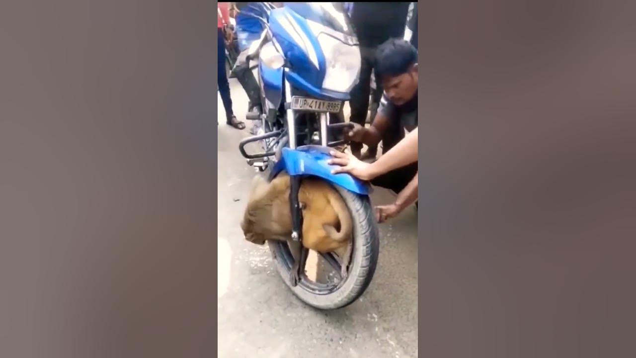 Киллер байк