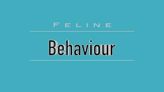 Feline Behaviour (VETERINARY ASSISTANT EDUCATION)