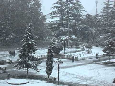 თოვლი ხობში 2011 წელი